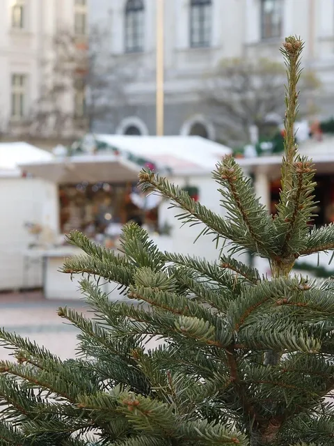 Ateliers DIY au marché de Noël