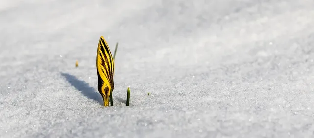 Lire la suite à propos de l’article INFOS / Congés d’hiver